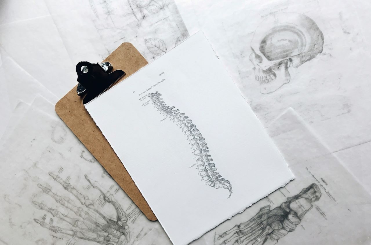 chiropractic-questions