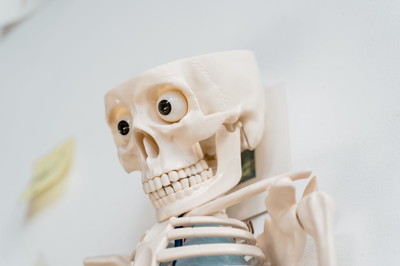 tmj-jaw-chiropractic-treatment